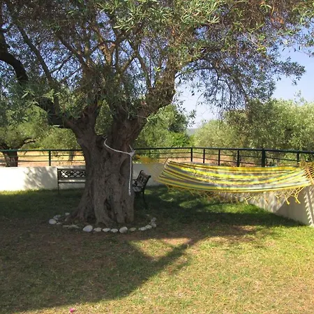 Billias House Vurvurú