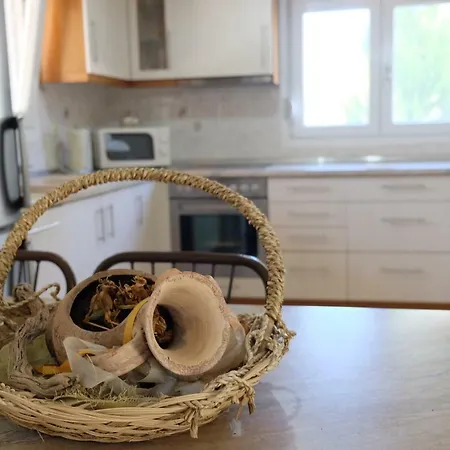 別荘 Billias House