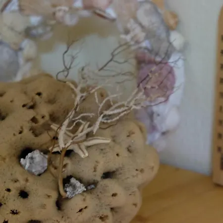 Billias House ブアブロウ